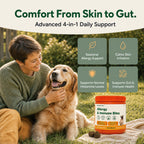 Allergy & Immune Bites