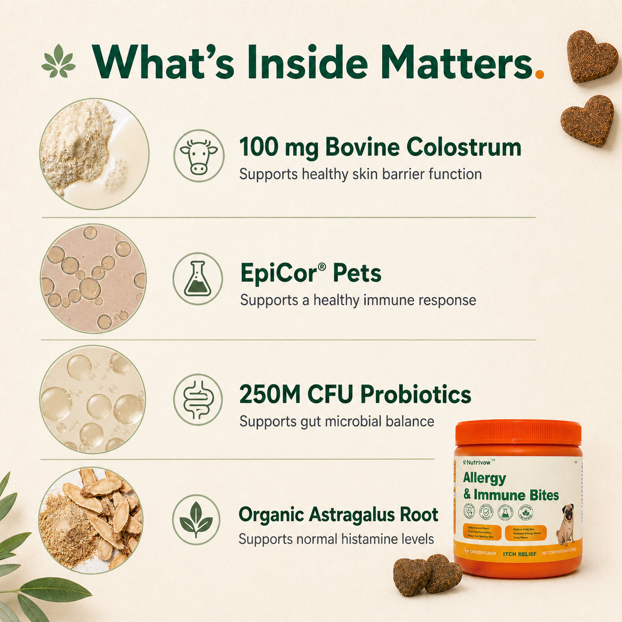 Allergy & Immune Bites