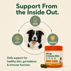 Allergy & Immune Bites