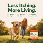 Allergy & Immune Bites