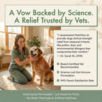 Allergy & Immune Chews