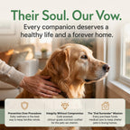Allergy & Immune Chews