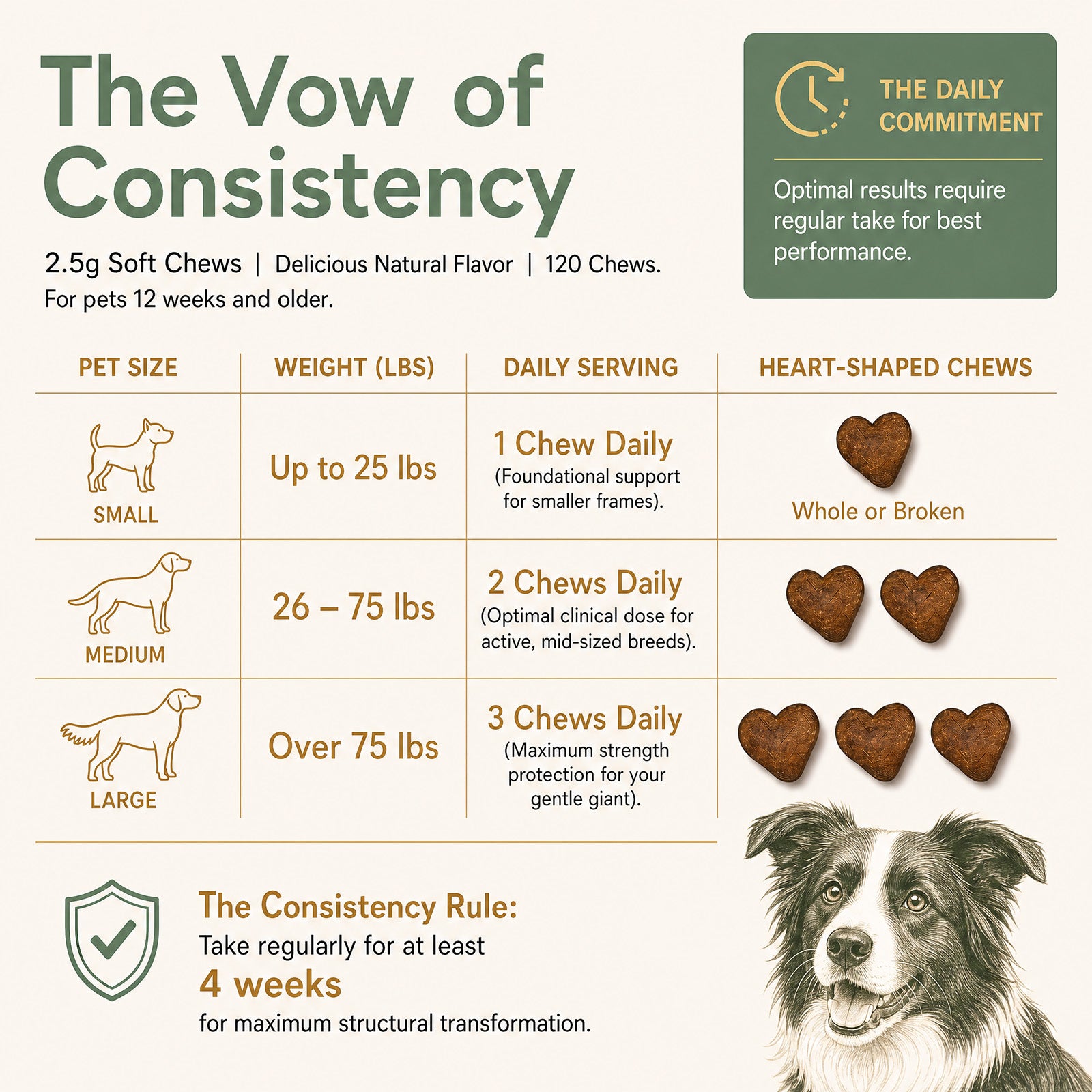 Allergy & Immune Chews