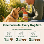 Calming Chews