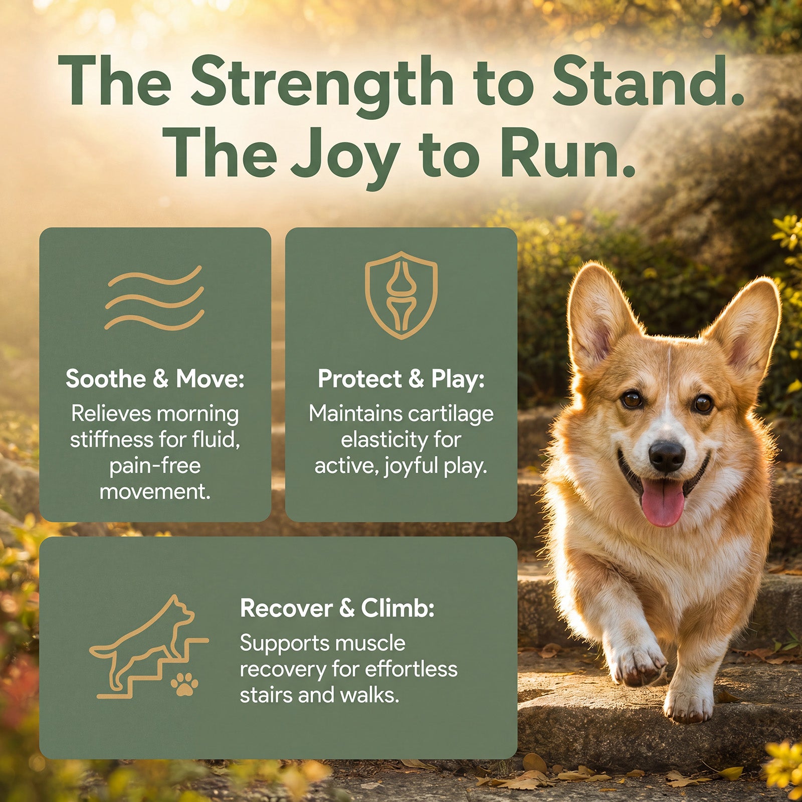 Hip & Joint Joy Bites Secondary image