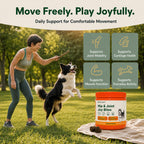 Hip & Joint Joy Bites