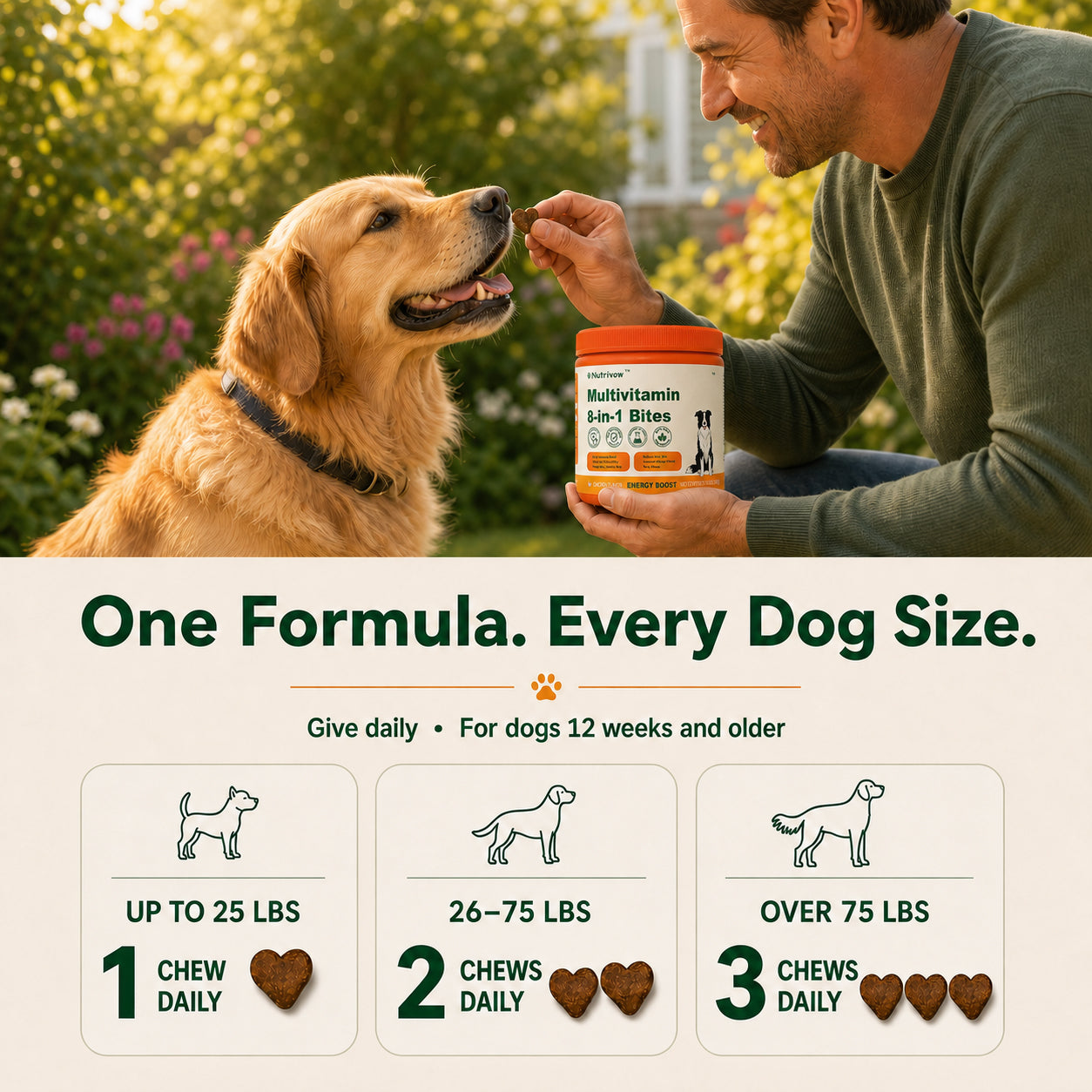 Multivitamin Bites