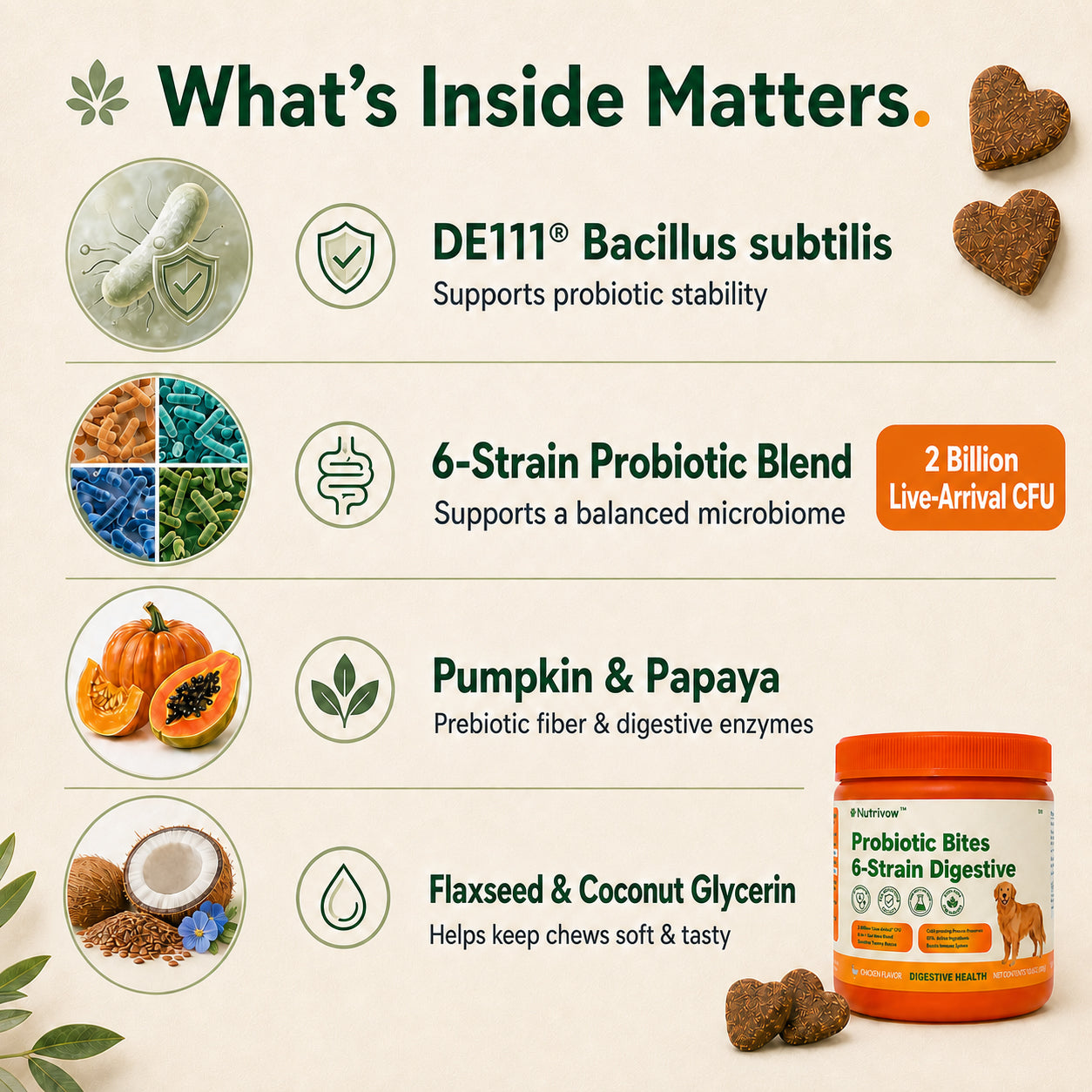 Probiotics Bites
