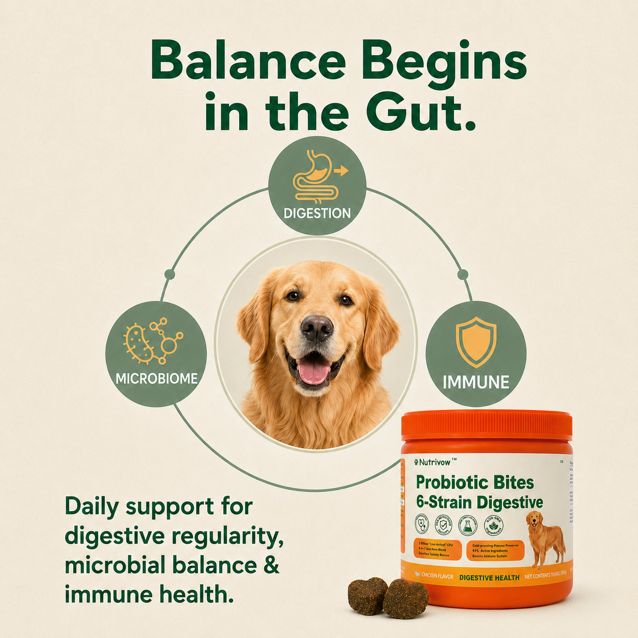 Probiotics Bites