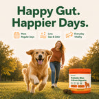 Probiotics Bites
