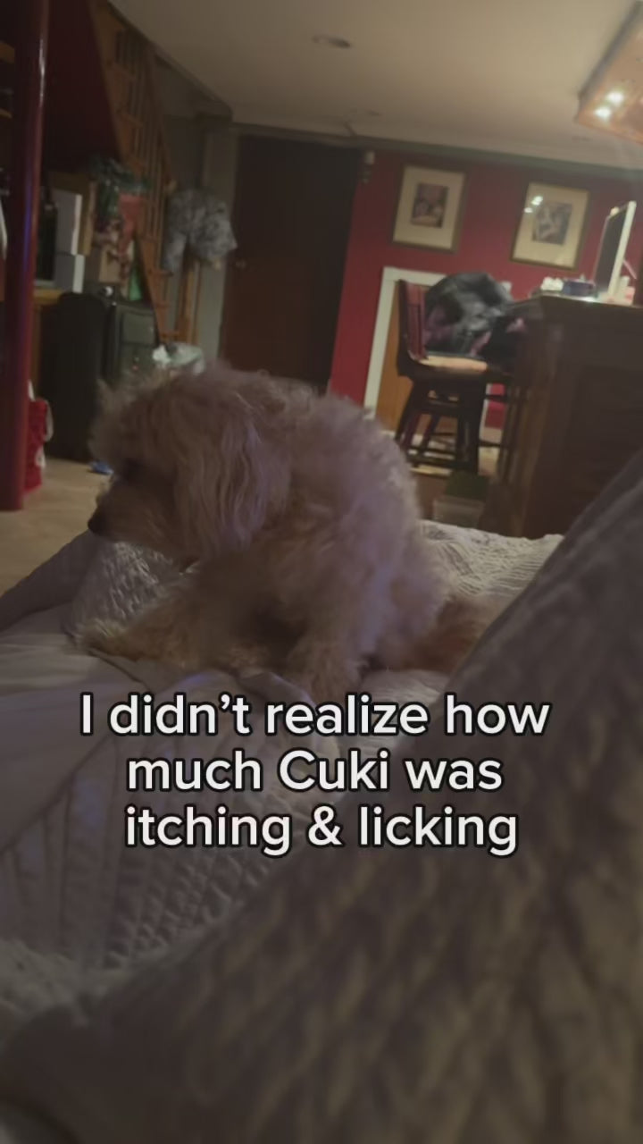 Cuki’s Parent